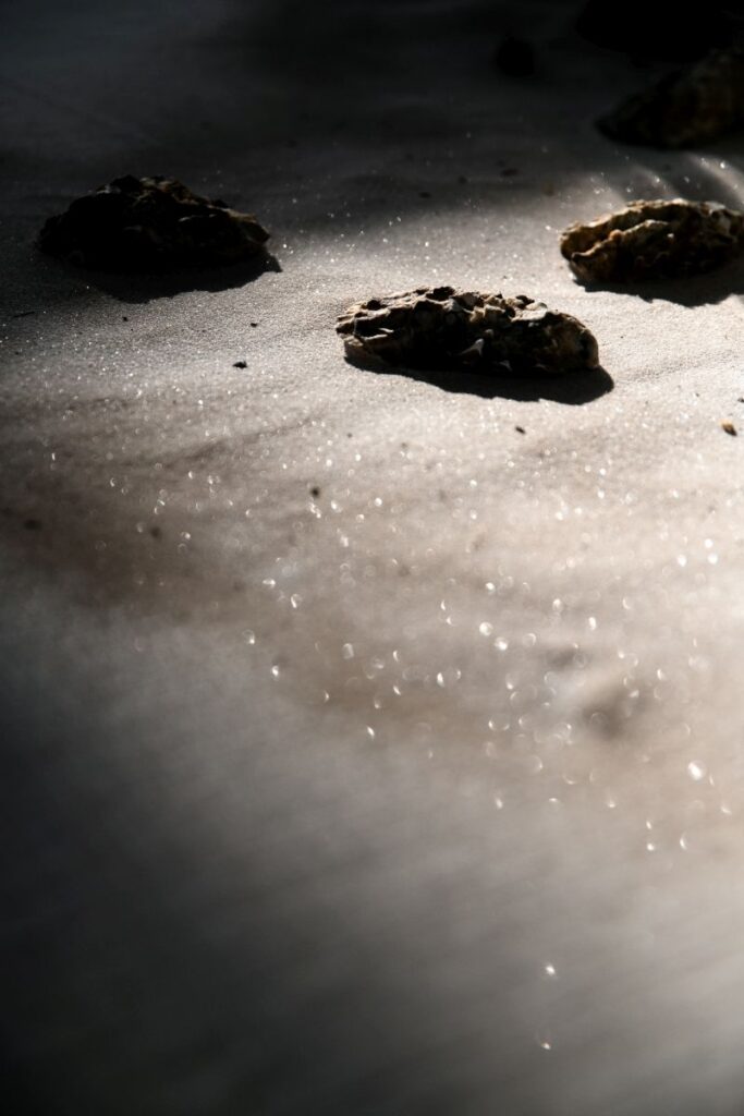 Dekoracja ślubna- Dziewczyna z perłą